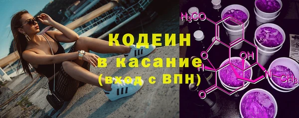 прущая мука Арсеньев