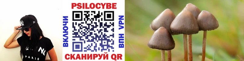 Галлюциногенные грибы Psilocybine cubensis  купить наркоту  Палласовка 